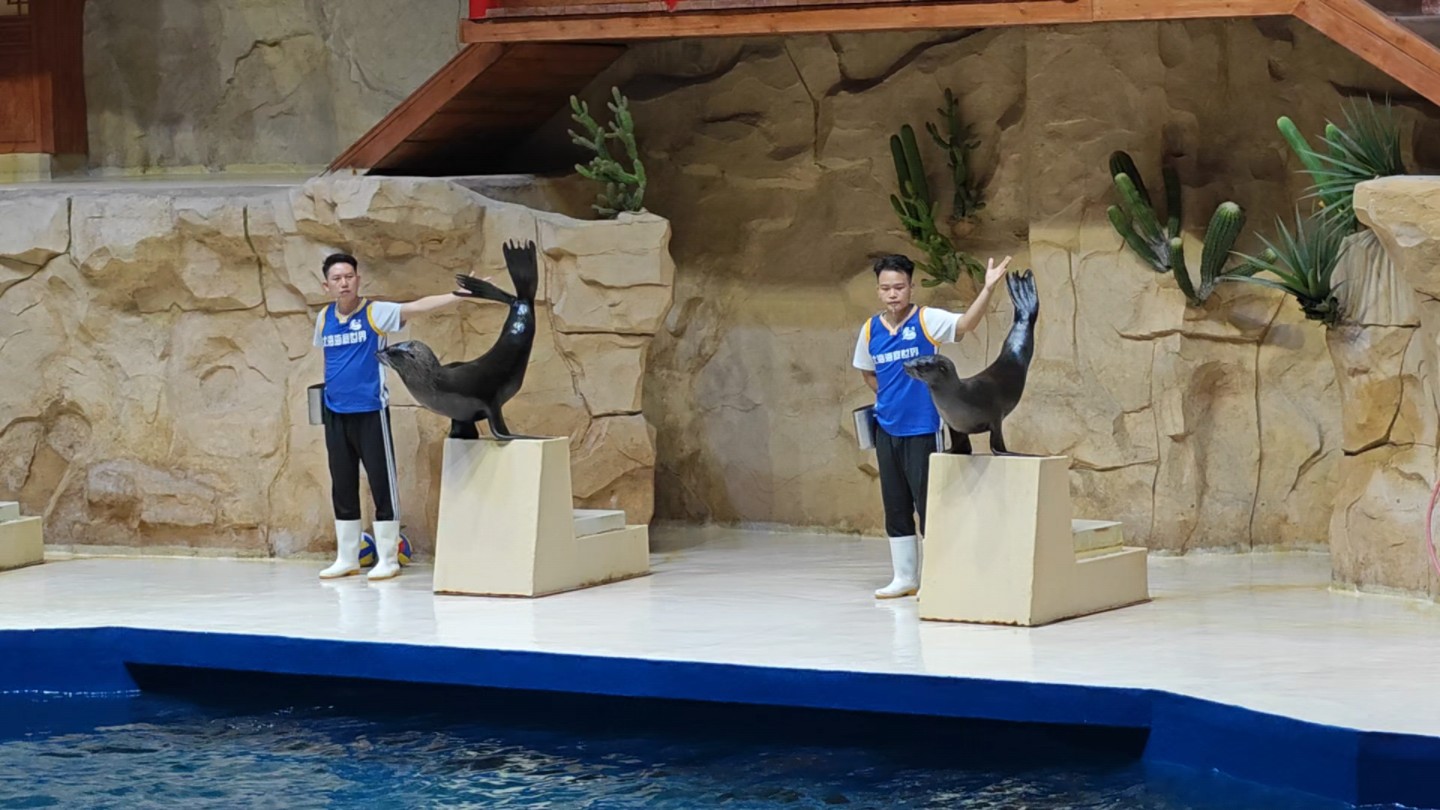 北海海底世界海狮表演