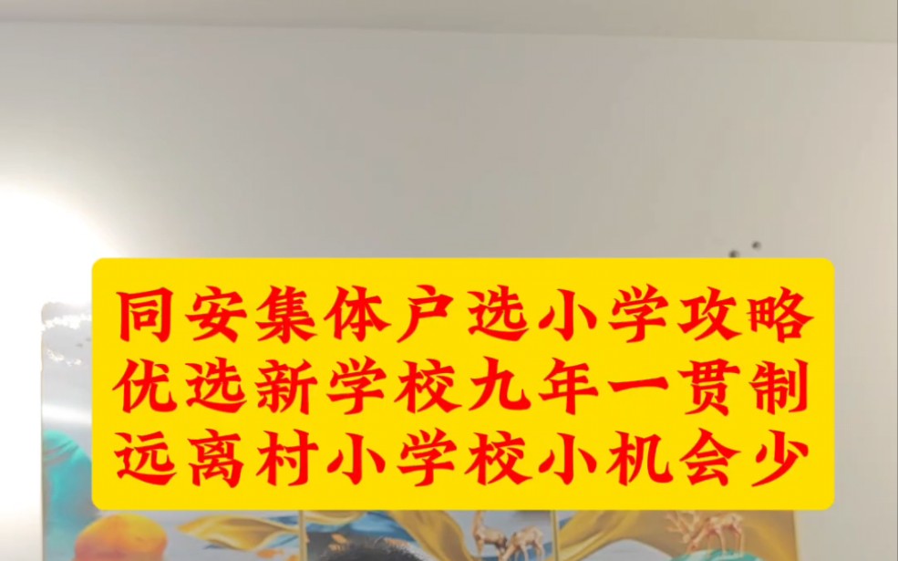 同安区集体户能读哪些学校?同安区集体户选学校攻略哔哩哔哩bilibili