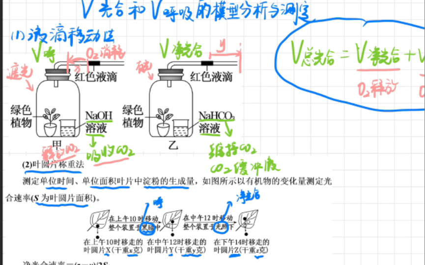 光合与呼吸的模型及测定方法~黑白瓶?半叶法?液滴移动法?叶圆片称重法?哔哩哔哩bilibili