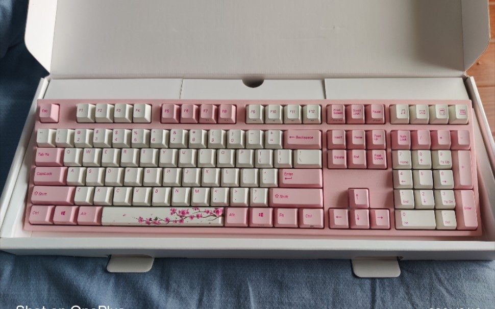 这阿米洛樱花粉轴的空格键位声音大,而且出现跷跷板,这正常吗.