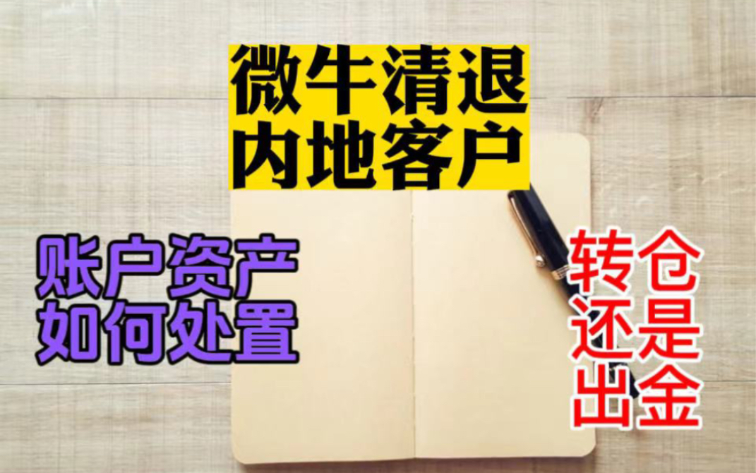 微牛清退内地客户,微牛券商资金如何出金,可以转仓到哪些券商哔哩哔哩bilibili