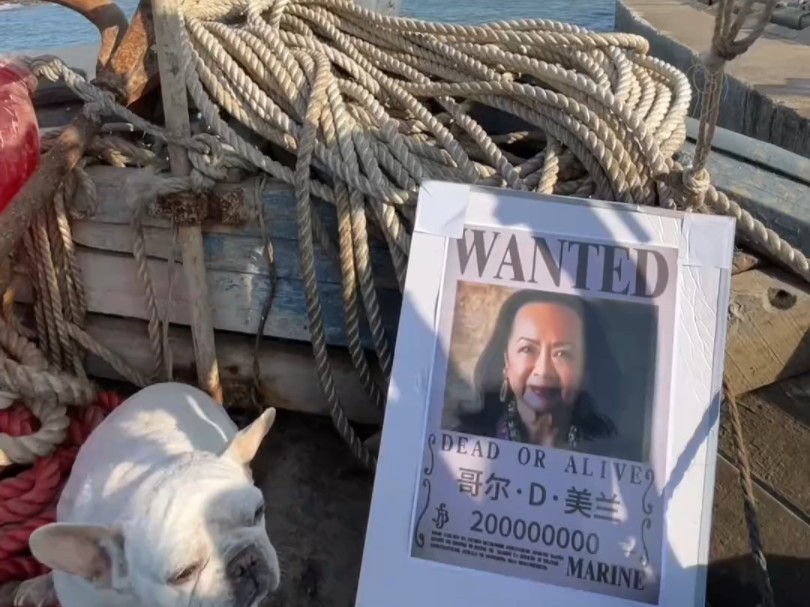 兴城急须舵手 火速开拔