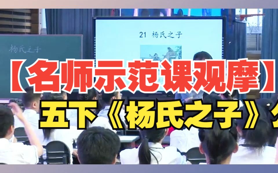 【名师示范课观摩】五下《杨氏之子》公开课教学实录名师示范课执教曹海永老师(有课件)哔哩哔哩bilibili