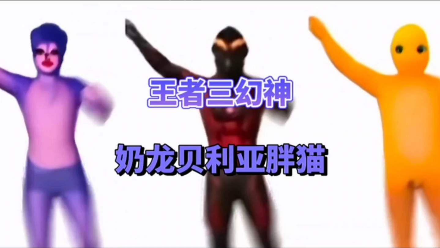 虚假的三幻神公孙离马可孙尚香真正的三幻神奶龙贝利亚胖猫