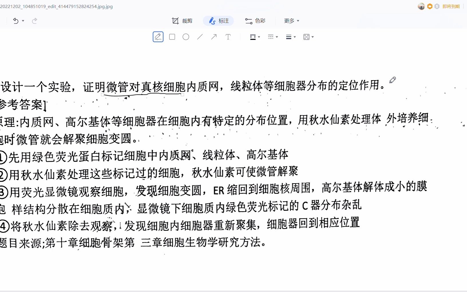 设计一个实验证明微管对真核细胞内质网线粒体等细胞器分布的定位作用哔哩哔哩bilibili