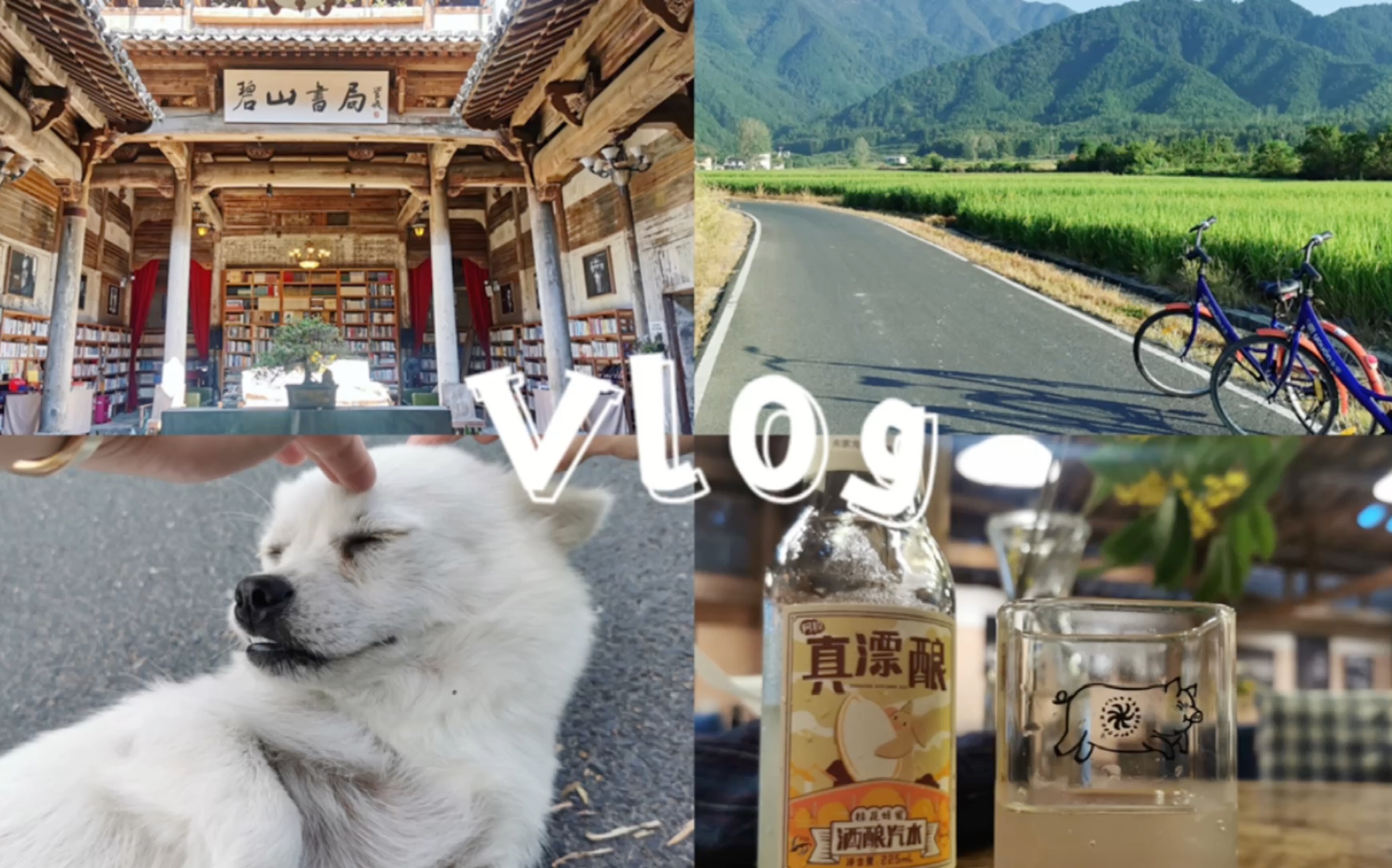 VLOG𐟌䠮Š碧山村|猪栏酒吧|碧山书局|两天一夜乡村生活|治愈旅行哔哩哔哩bilibili