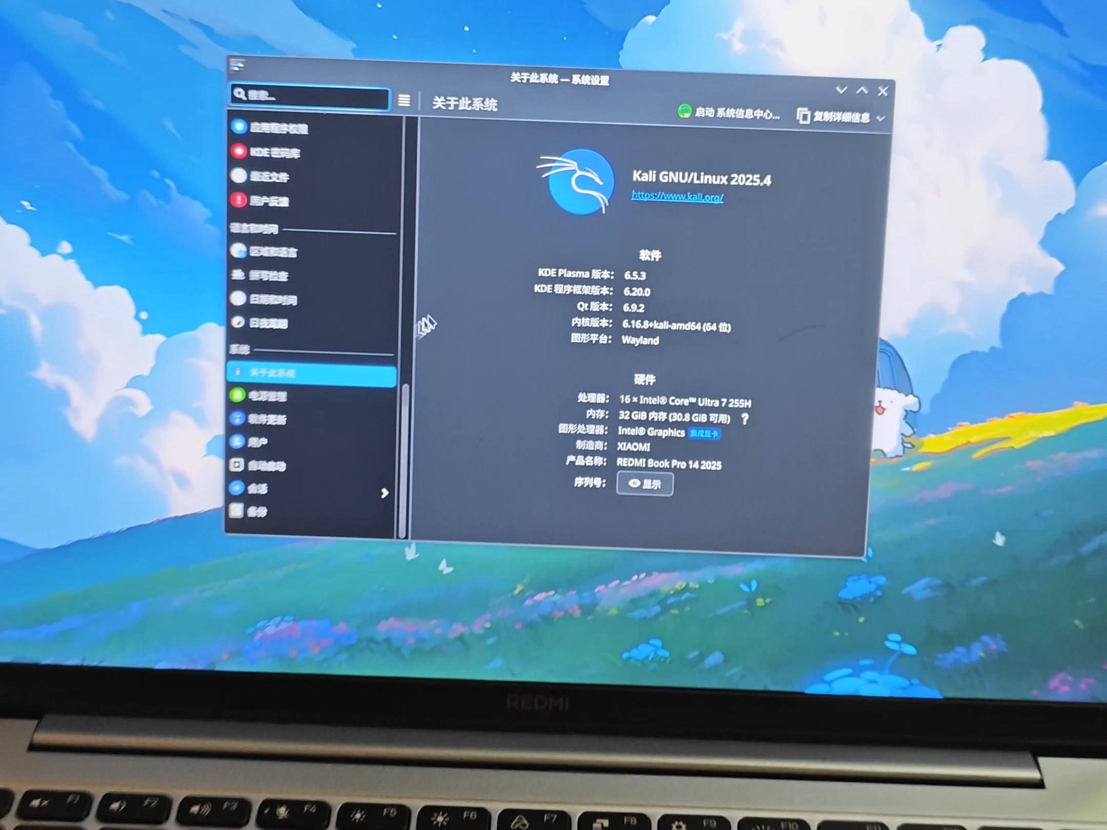 REDMI Book Pro14 2025安装linux/kali,不会报错 完美运行