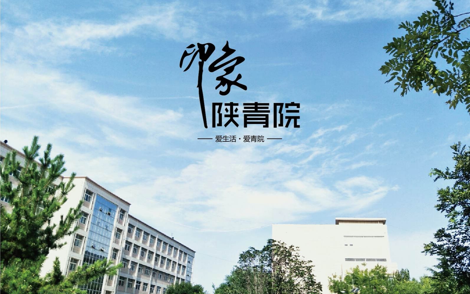 陕西青年职业学院校训图片