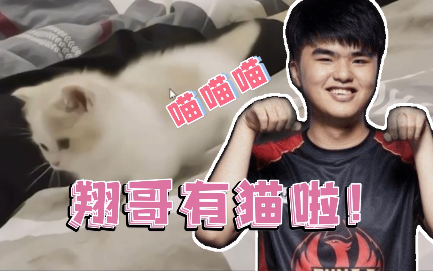 翔哥晋升铲屎官!分享他的可爱猫咪!