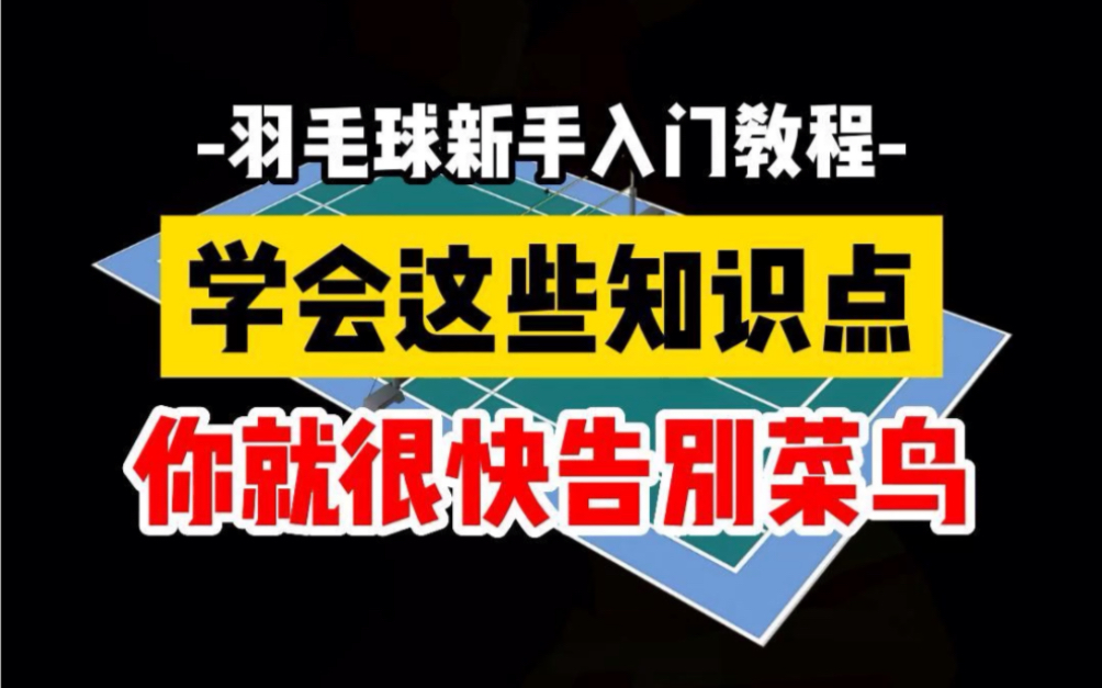 羽毛球新手入门教程,学会这些冷知识,你就很快告别菜鸟哔哩哔哩bilibili