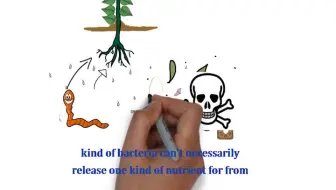 Soil Biology土壤微生物学入门简介 英文字幕