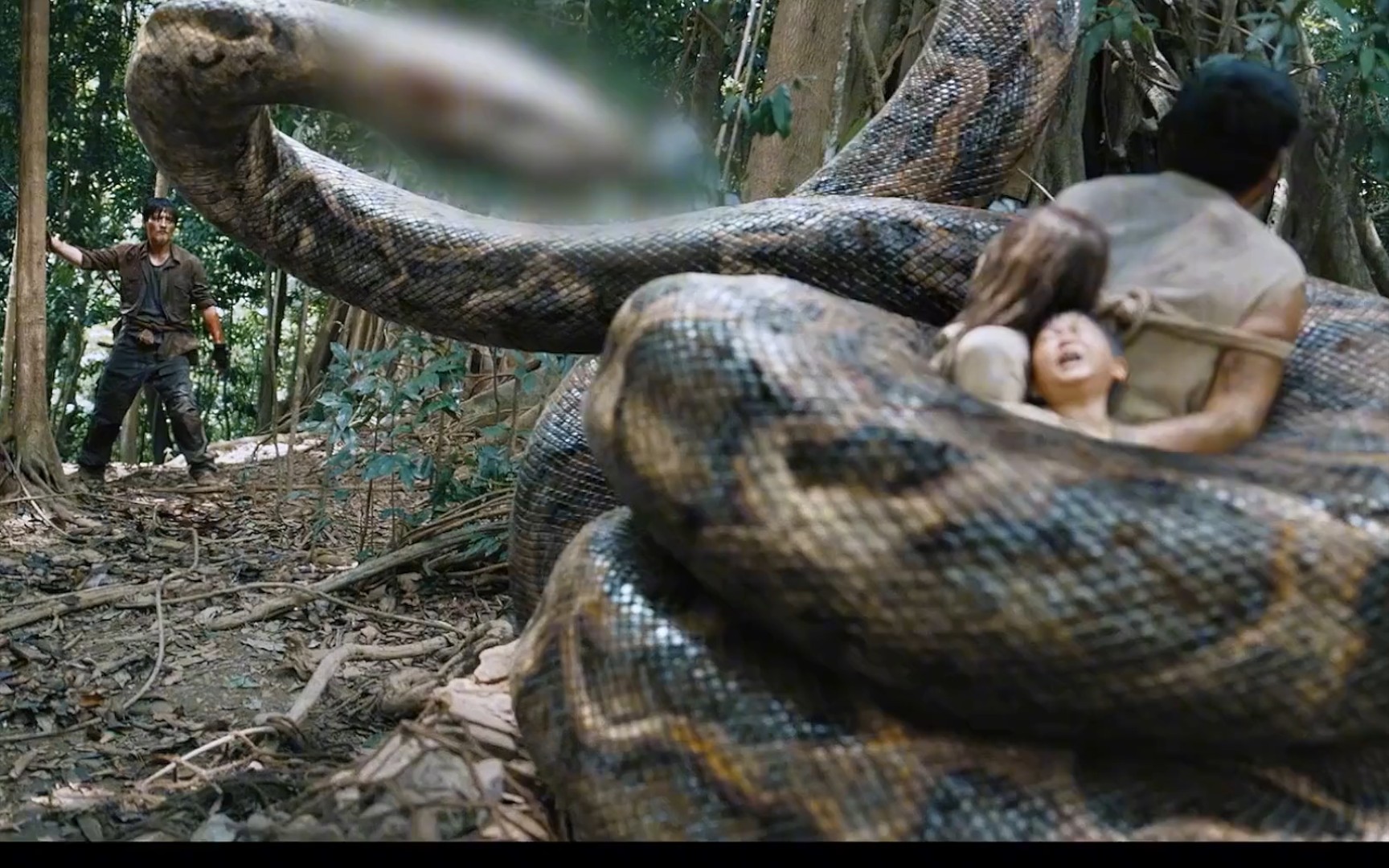关于蟒蛇的国产电影图片