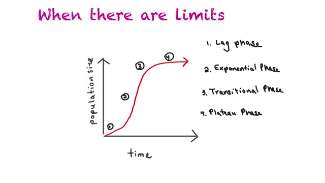 Factors that affect populations哔哩哔哩bilibili