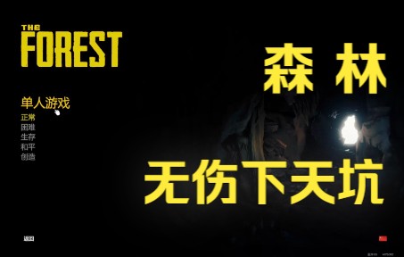 森林最简单最快速下天坑方法演示