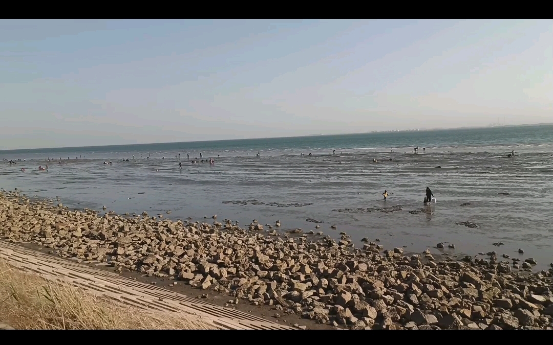 五一假期曹妃甸文丰码头赶海顺便看几艘大轮船