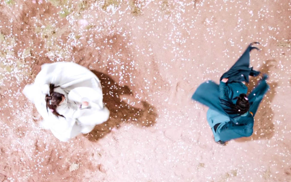 【山河令】 温客行x周子舒 龚俊x张哲瀚 桃花林打戏超飒超美超好看!