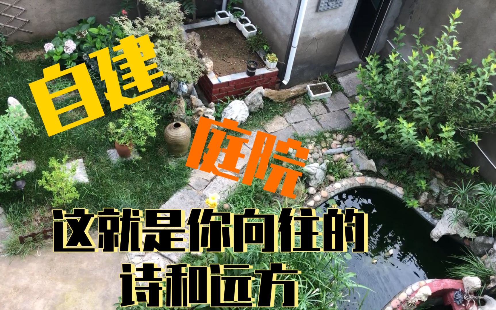 [图]农村自建庭院两周年纪念一下、有花有草。鱼池。假山。梦想中宁静的生活。这就是我向往的诗和远方