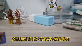 Video herunterladen: 花45买的布鲁可