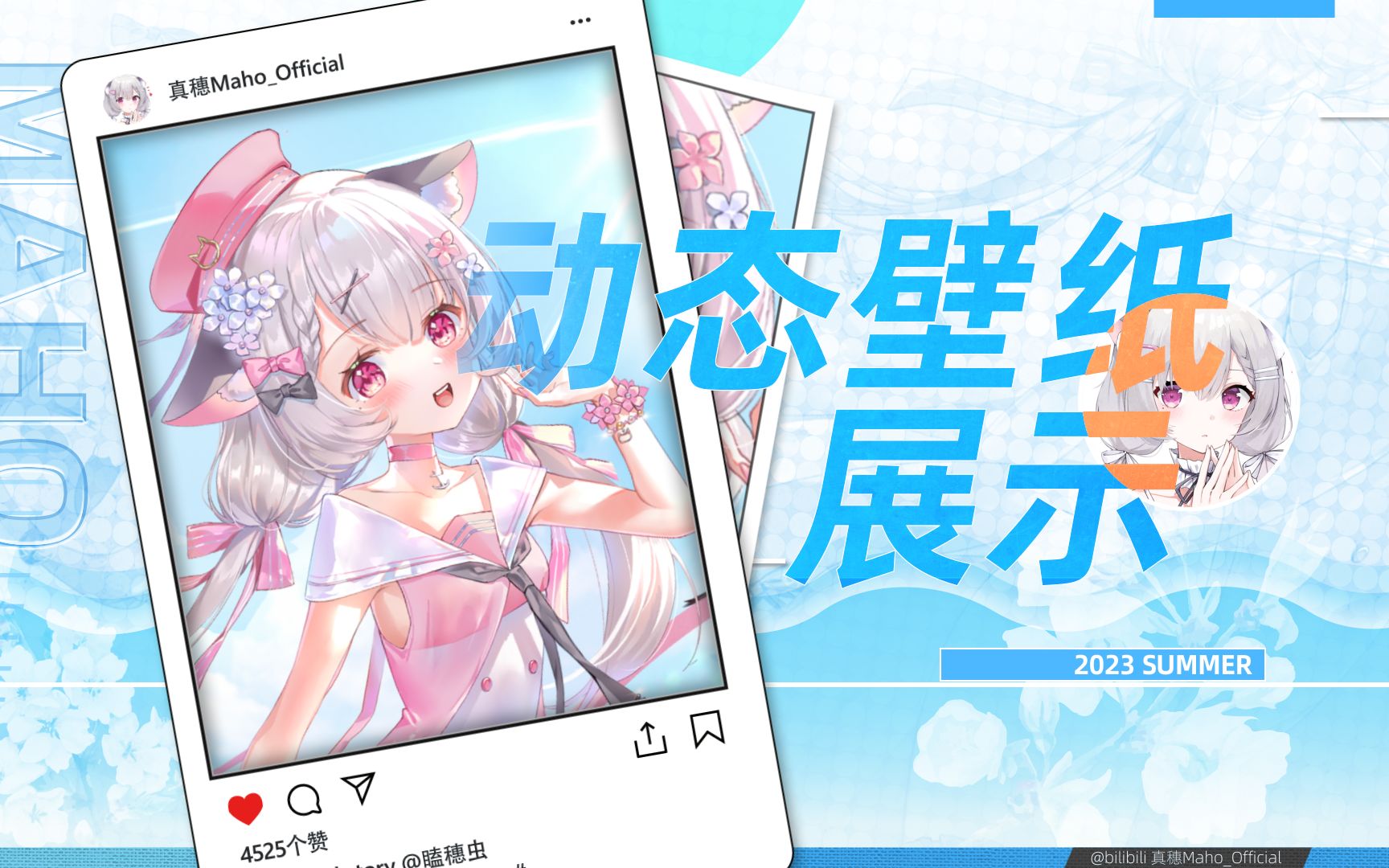 【动态壁纸】夏日,海边,银白猫猫!哔哩哔哩bilibili