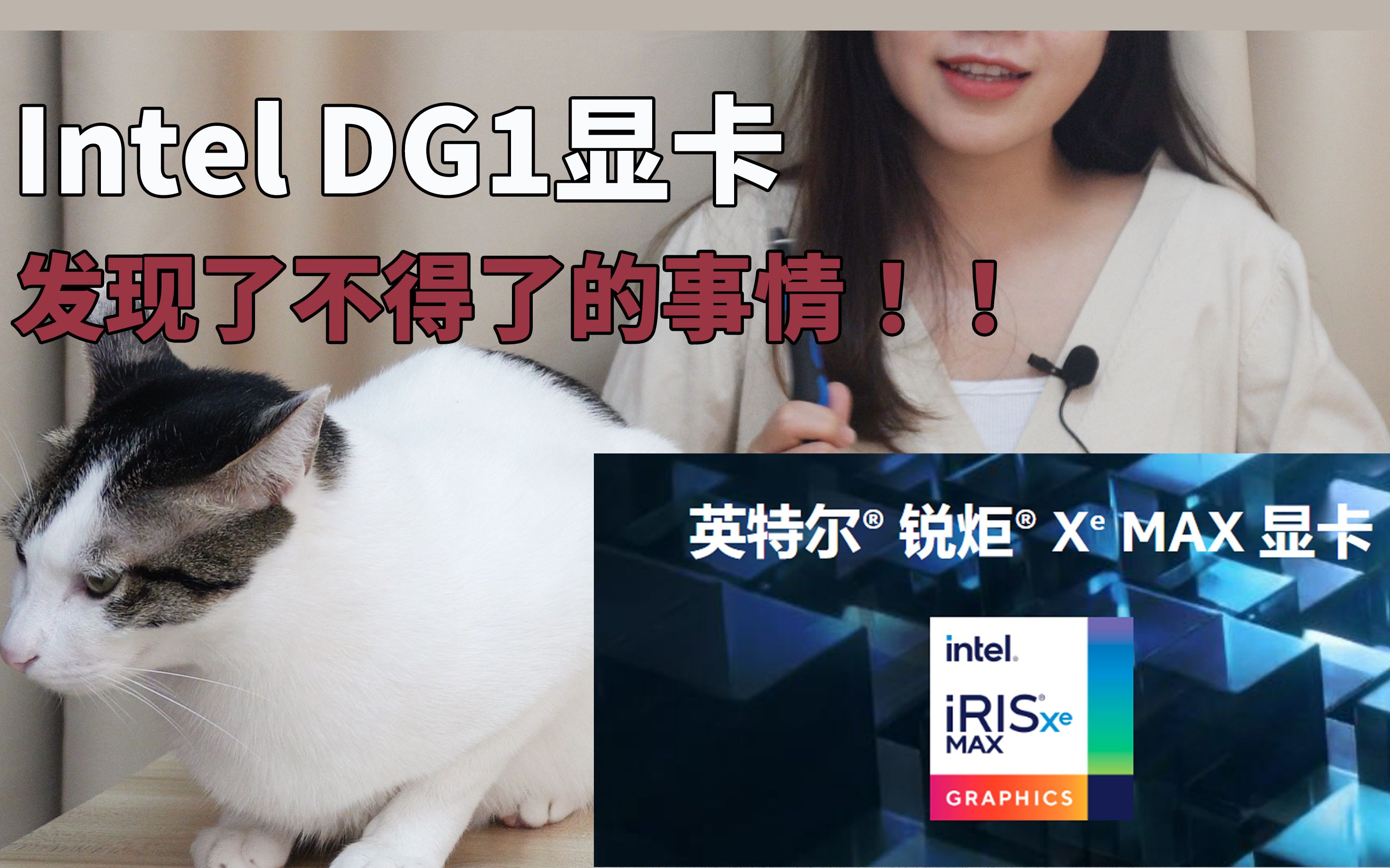 【测评】Intel DG1显卡还藏着这样的秘密哔哩哔哩bilibili