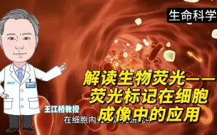 Download Video: 解读生物荧光——荧光标记在细胞成像中的应用