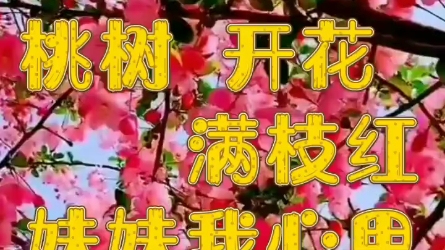 山西武乡开花调伴奏