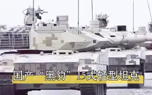 Tải video: 高原山地的陆战之王“黑豹”15式轻型坦克、身上有黑豹的标志，这款轻坦像黑豹一样敏捷、像黑豹一样迅猛