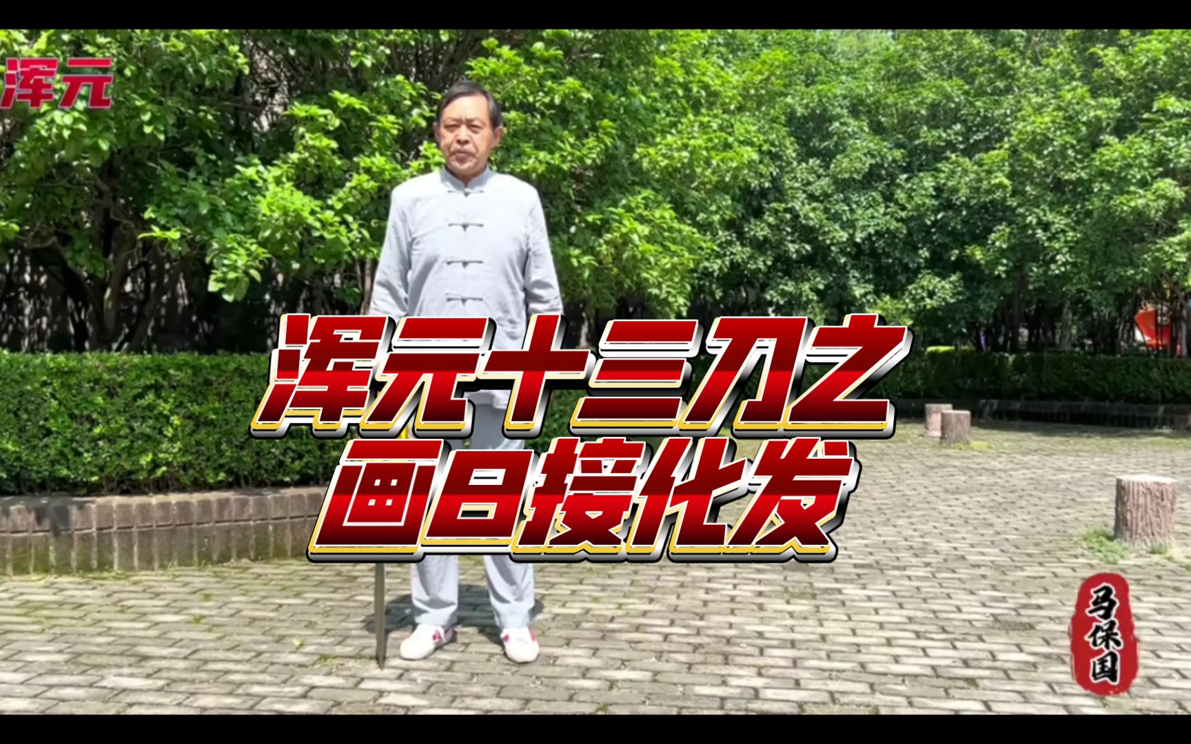 浑元十三刀4接化发马保国