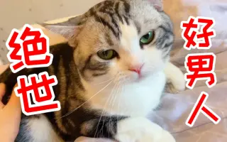 暖男猫 搜索结果 哔哩哔哩 Bilibili