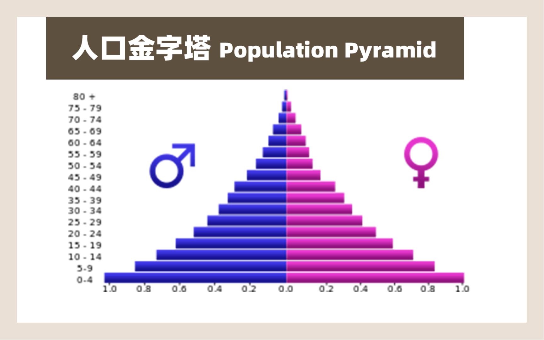 【认识100个图表】025人口金字塔Population Pyramid/人口统计图哔哩哔哩bilibili