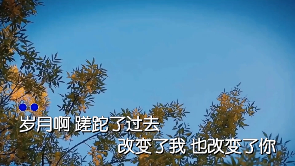 [图]祈隆-再见爱人(KTV字幕版)