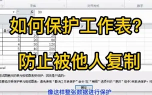 Download Video: 11.如何保护工作表，防止被别人复制？