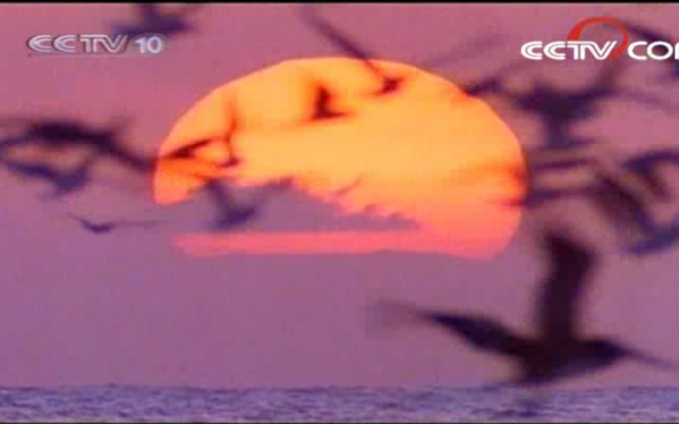 20080225 cctv-10 结束曲