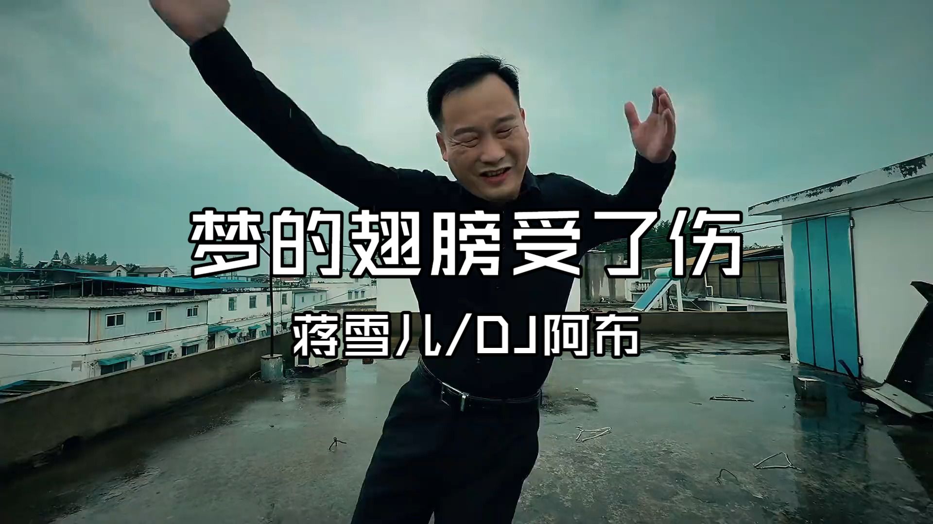 梦的翅膀受了伤（DJ阿智版）-蒋雪儿 KTV-火遍全网的循环播放洗脑神曲！