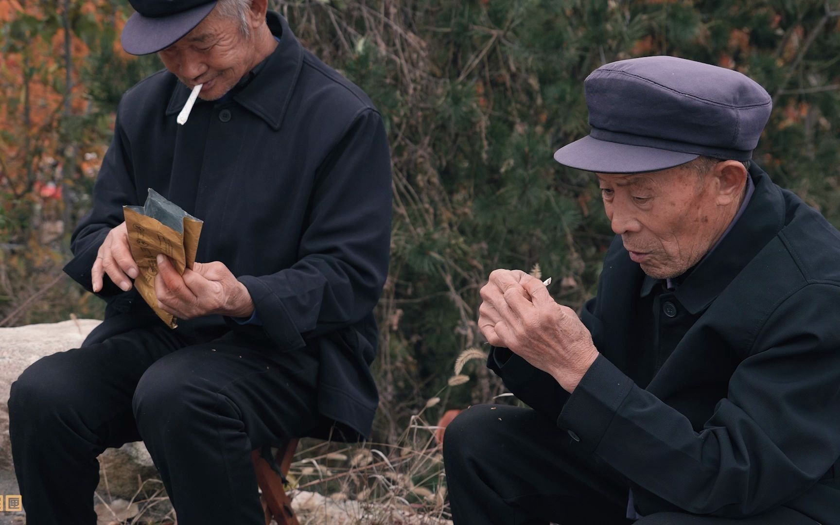 [图]凤凰岭柿子节 老人与山