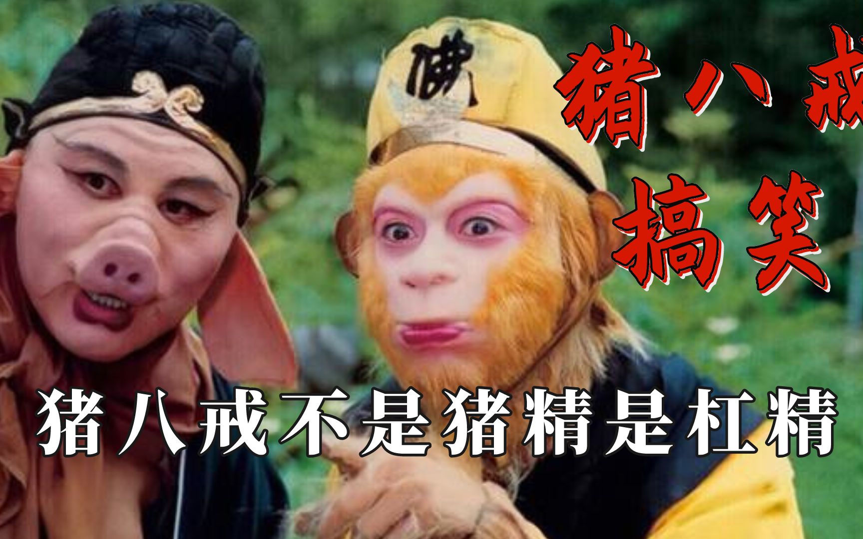 活动作品猪八戒有多搞笑猪八戒不是猪精是杠精