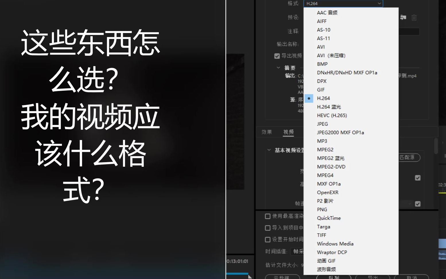 视频导出格式都是啥?电影格式那些事(3.1)哔哩哔哩bilibili