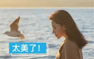 Download Video: 海鸥➕日出拍照真的太绝了|教程版