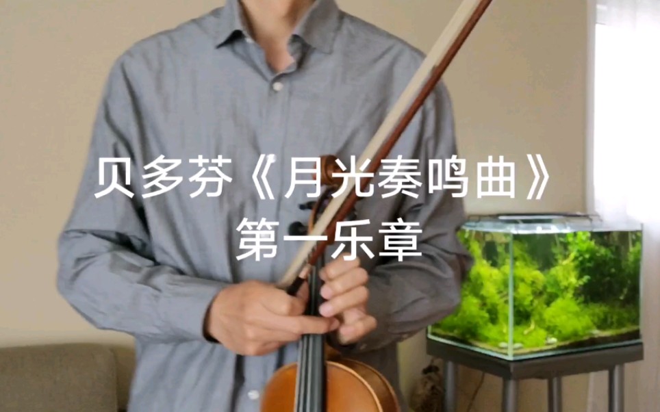 [图]小提琴演奏的贝多芬的《月光奏鸣曲》第一乐章