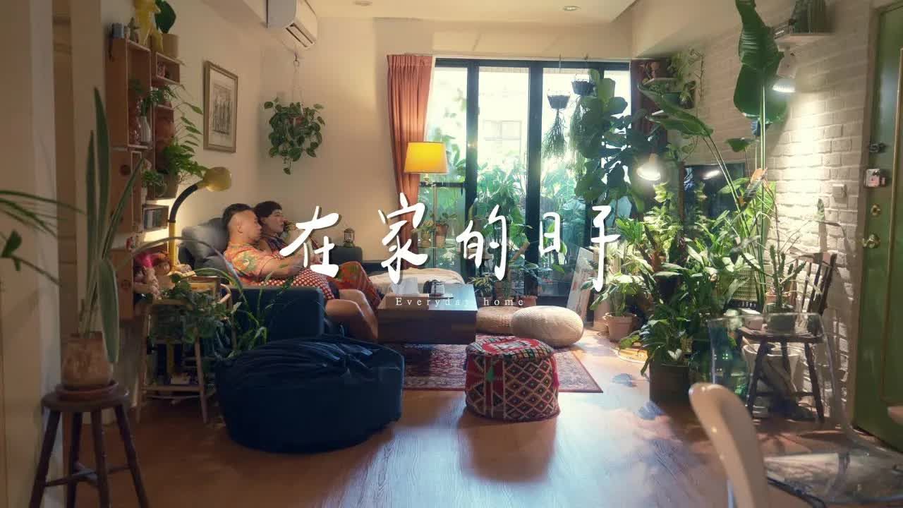 在家的日子 室内雨林的胡now夫妇哔哩哔哩bilibili