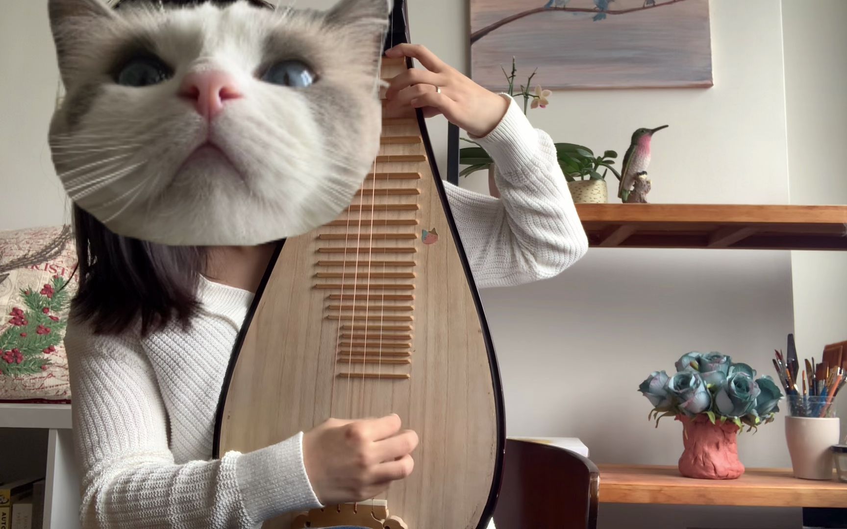 琵琶学习第22周《春光舞》