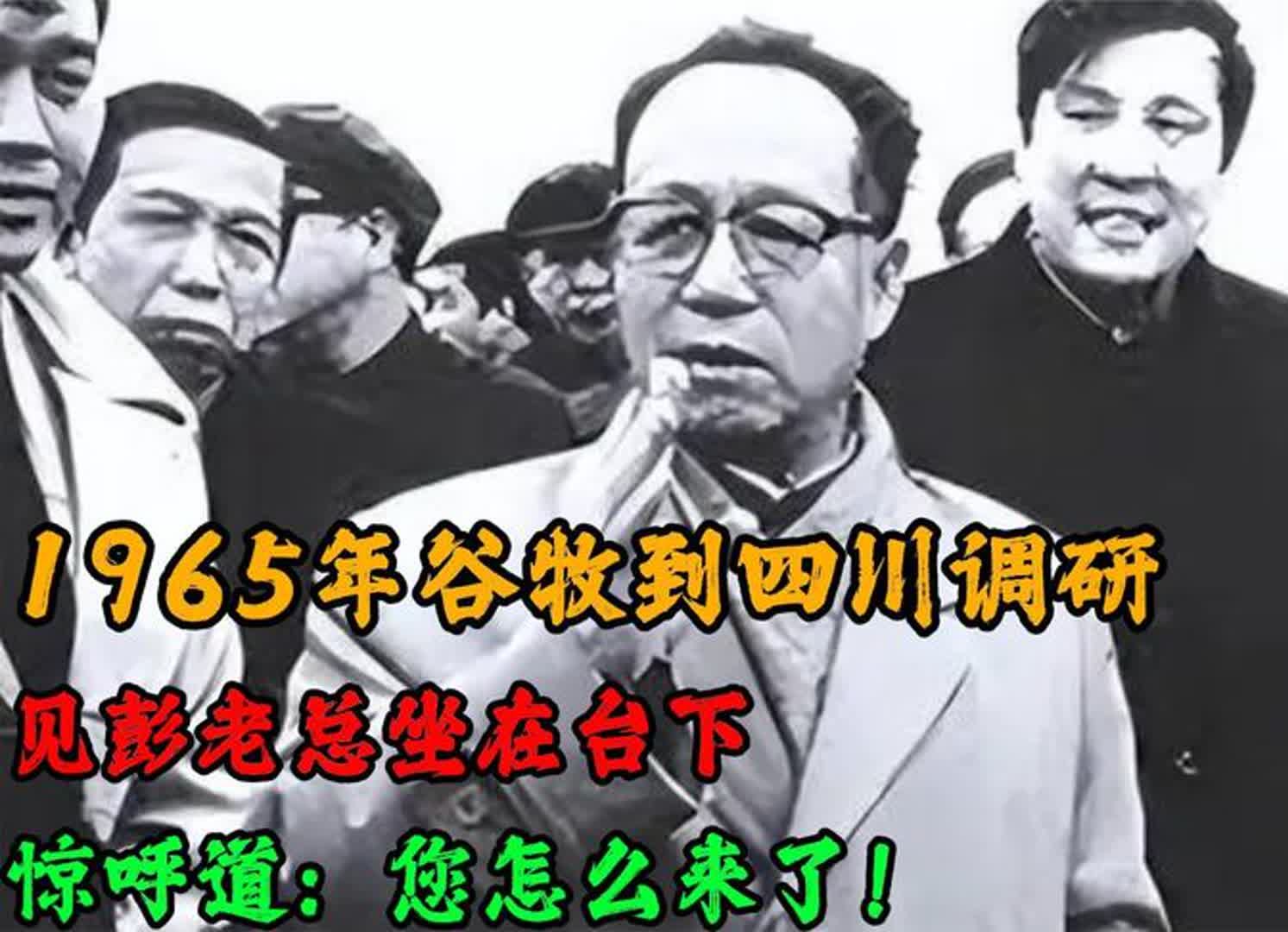 1965年谷牧到四川调研,见彭老总坐在台下,惊呼道:您怎么来了!哔哩哔哩bilibili