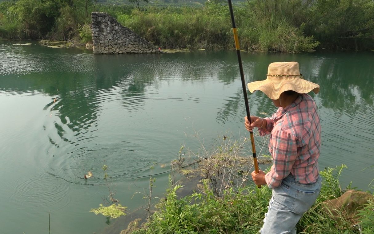 小河野钓,今天选到个好钓位,哇塞钓上的全是土货,太棒了