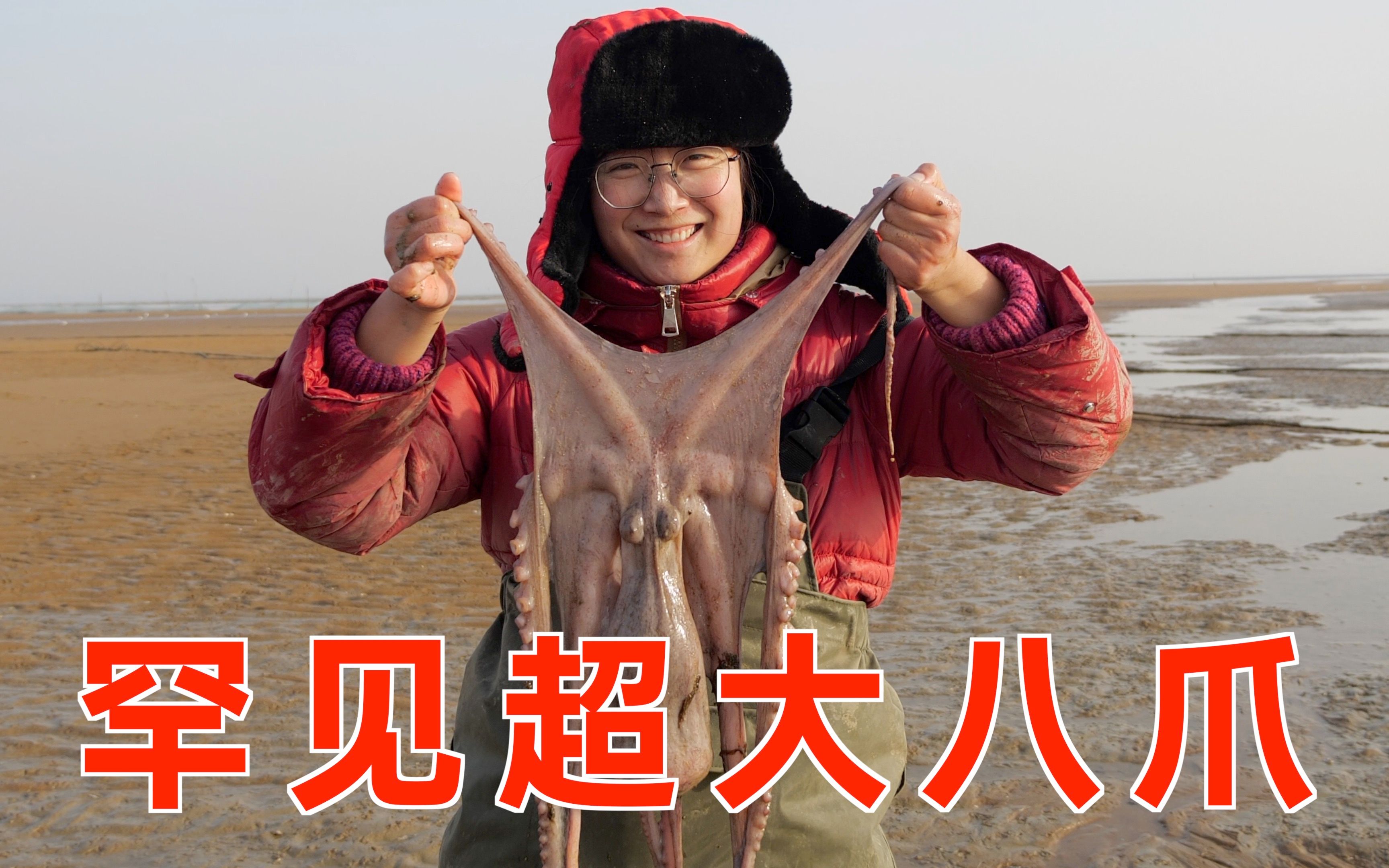 大梅退潮后赶海,邂逅罕见超大八爪鱼,直呼今天没白来!