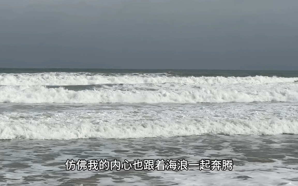 面朝大海,春暖花开.哔哩哔哩bilibili