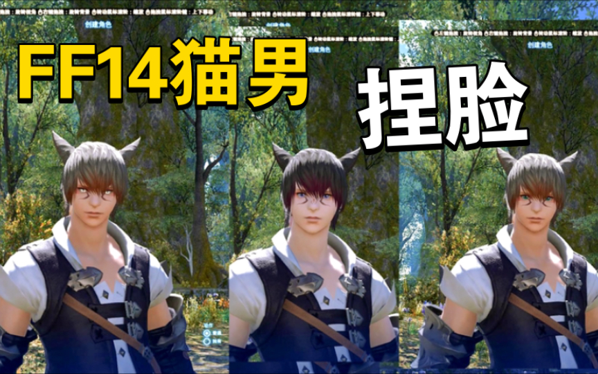 FF14 猫男捏脸 「符合主流审美的一号脸参考」网络游戏热门视频