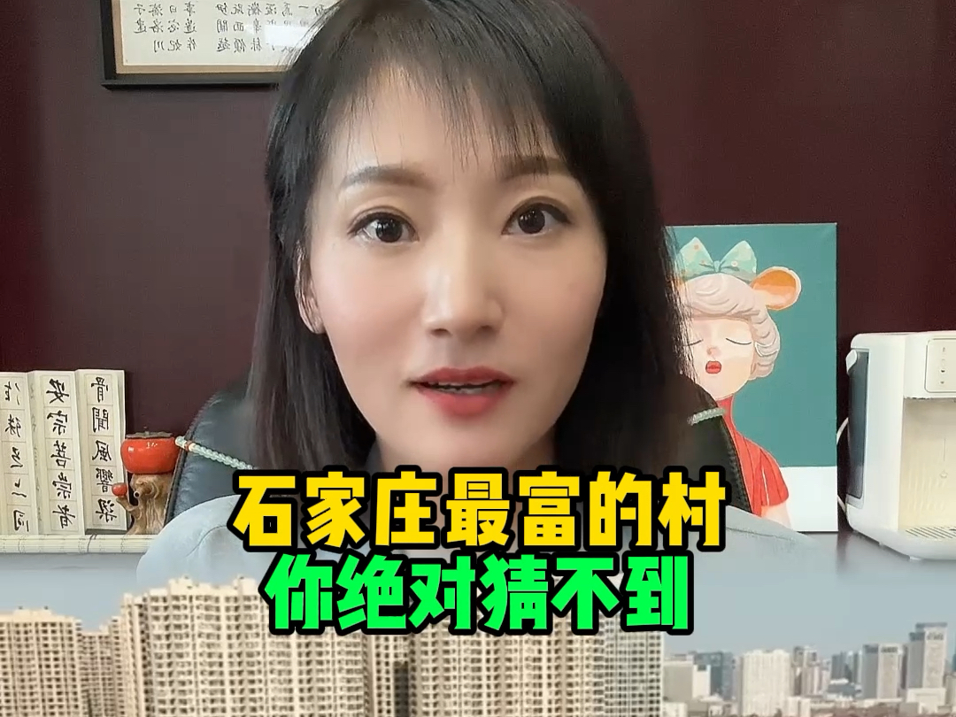 石家庄最富的村,你能猜到是哪个吗?哔哩哔哩bilibili