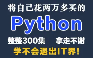 Descargar video: 成功上岸！将自己花2万多买的Python教程，整整300集，免费分享给大家~拿走不谢！学不会退出IT界！