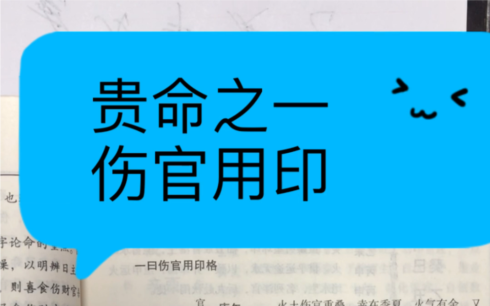 欣赏一个贵命,火土伤官用印哔哩哔哩bilibili