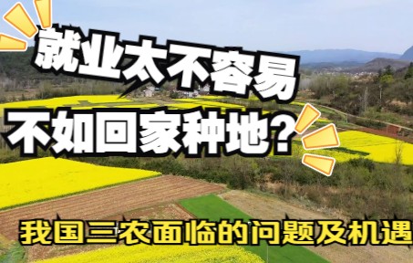 [图]农村的孩子回家种地还有希望吗？我国的三农问题和机遇在哪里？